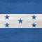 Honduras Flag Distressed Nintendo Switch Lite Skin